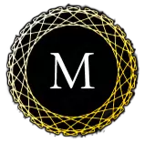 Servicio profesional de Taxi Premium para particulares y empresas